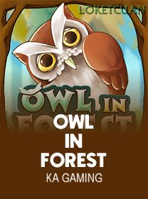 OwlIn Forest